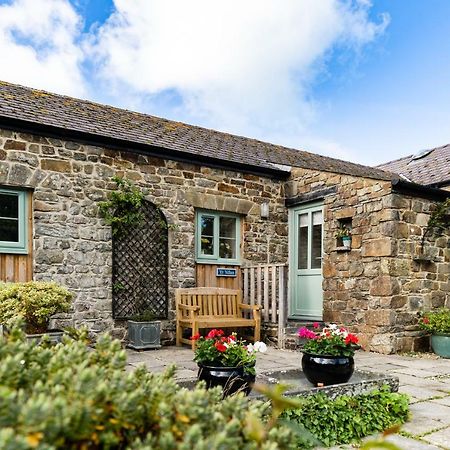 Cwm Connell Coastal Cottages Moylgrove Экстерьер фото