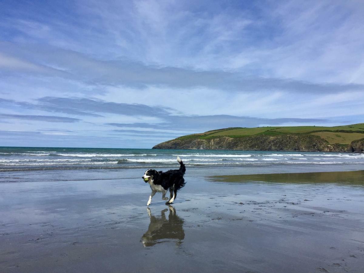 Cwm Connell Coastal Cottages Moylgrove Экстерьер фото